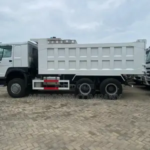 Howo 380hp Dump Track