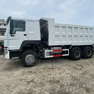 Howo 380hp Dump Track