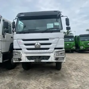 Howo 380hp Dump Track