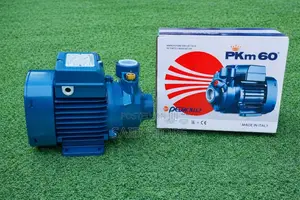 Priming Water Pum Electric Low Pressure Peripheral 0.5 Hp Water