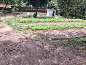 - *Kiwanja Kikubwa SQM 1,000 Ml 65 Kipo Goba Njia Nne(Goba Road