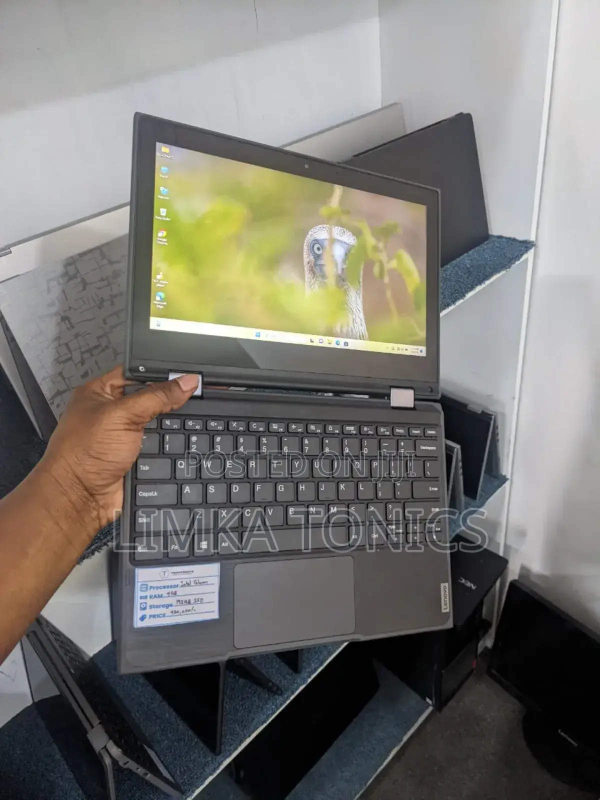 New Laptop Lenovo 300e 4GB Intel Celeron SSD 160GB