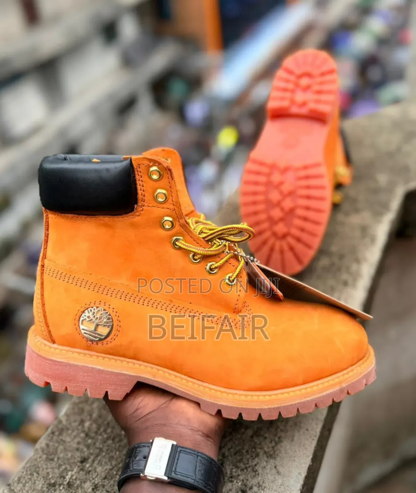 Brown Timbs Black Collar
