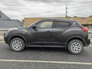 Nissan Juke SV AWD 2011 Gray