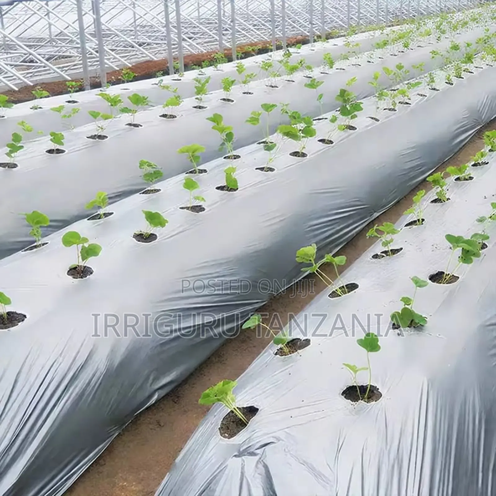 Mulching Paper Film