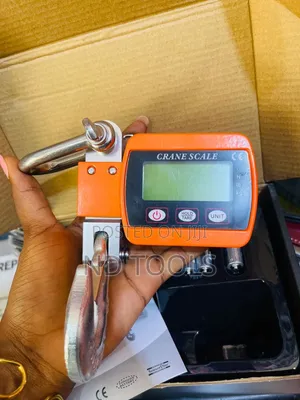 Electric Crane Scale 500kg
