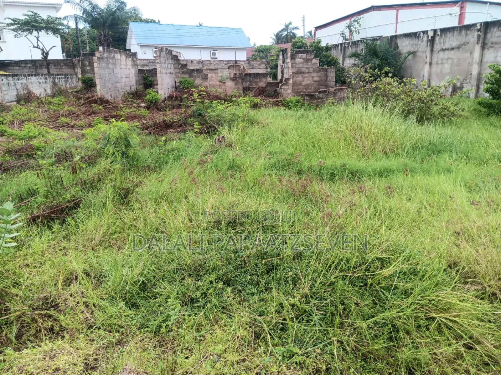 Eneo Lenye Ukubwa Wa SQMT 1800 Linauzwa Usd Milioni 1,300,000 Mikochen
