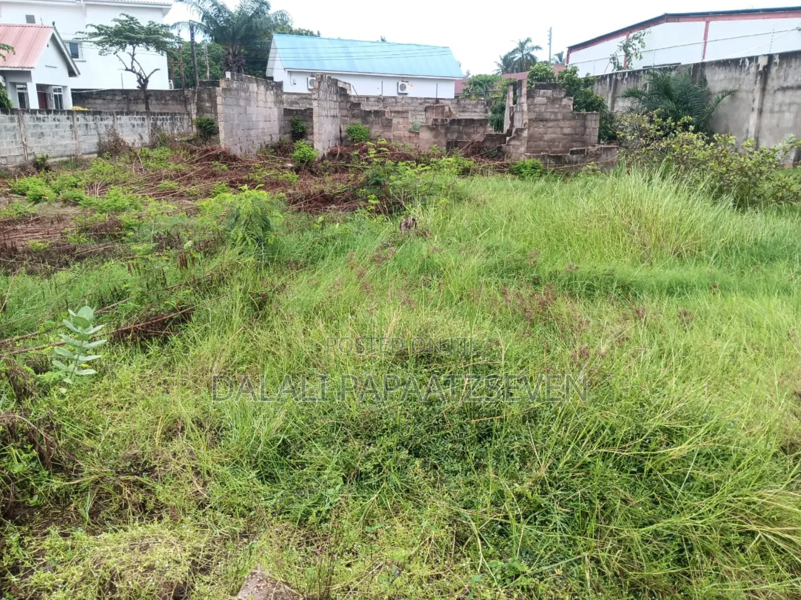 Eneo Lenye Ukubwa Wa SQMT 1800 Linauzwa Usd Milioni 1,300,000 Mikochen