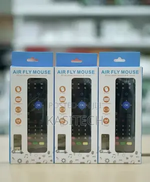 Universal Screen and Tv Remote Mouse Combo