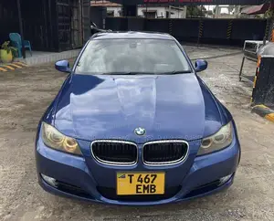 BMW 3 Series 2010 Blue