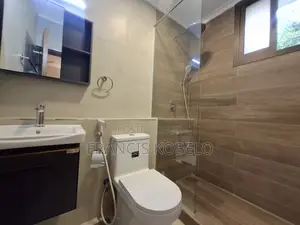 Furnished 3bdrm Apartment in Masaki for rent