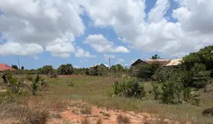 Kiwanja Kigamboni Vumilia Ukooni Bei Milion 5 Ukubwa Futi 50 Kwa 50