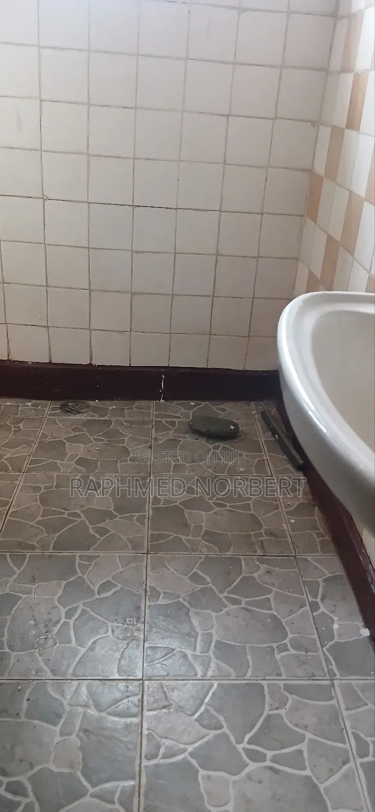 3bdrm House in Tanzania Realestates, Njiro for rent
