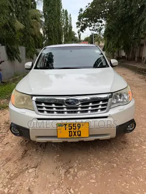 Subaru Forester 2009 Pearl