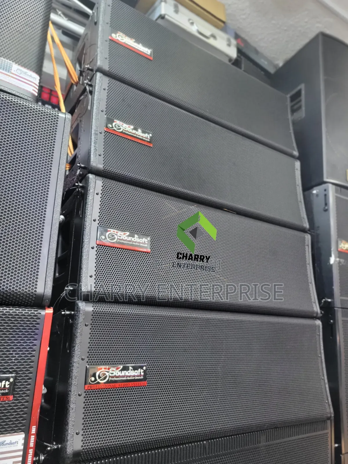 Professional Soundsoft Line Array Powered Speaker 800w 12 Inch × 2