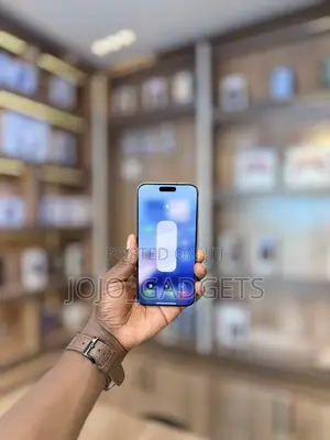Apple iPhone 15 Pro Max 256 GB Silver