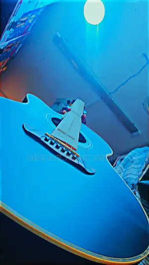Bullfighter Acoustic Guitar
