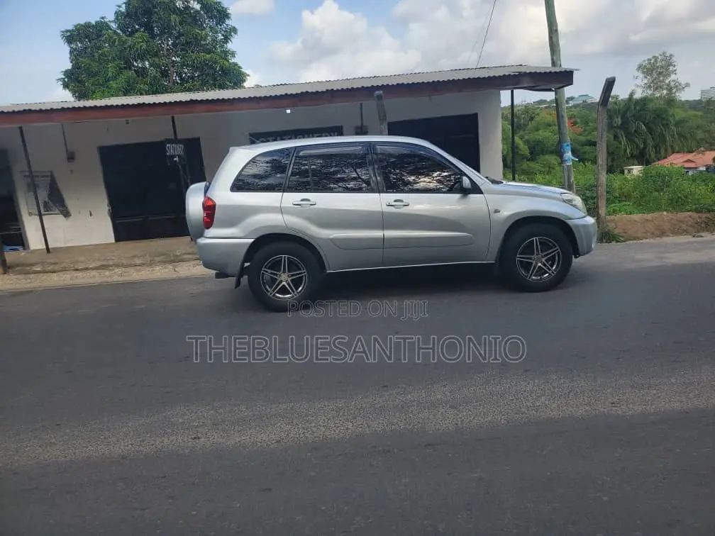 Toyota RAV4 2005 Silver