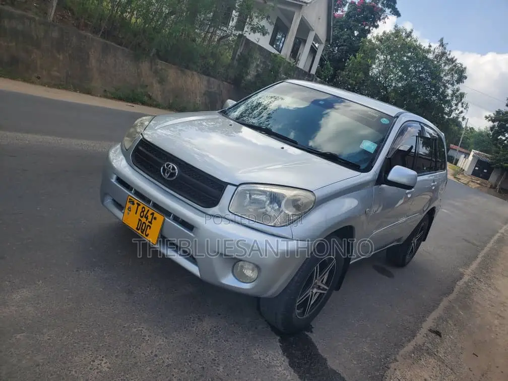 Toyota RAV4 2005 Silver