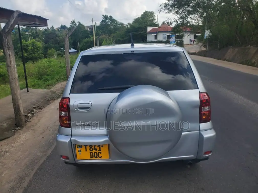 Toyota RAV4 2005 Silver