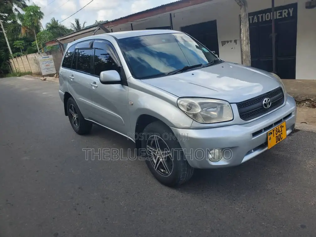 Toyota RAV4 2005 Silver