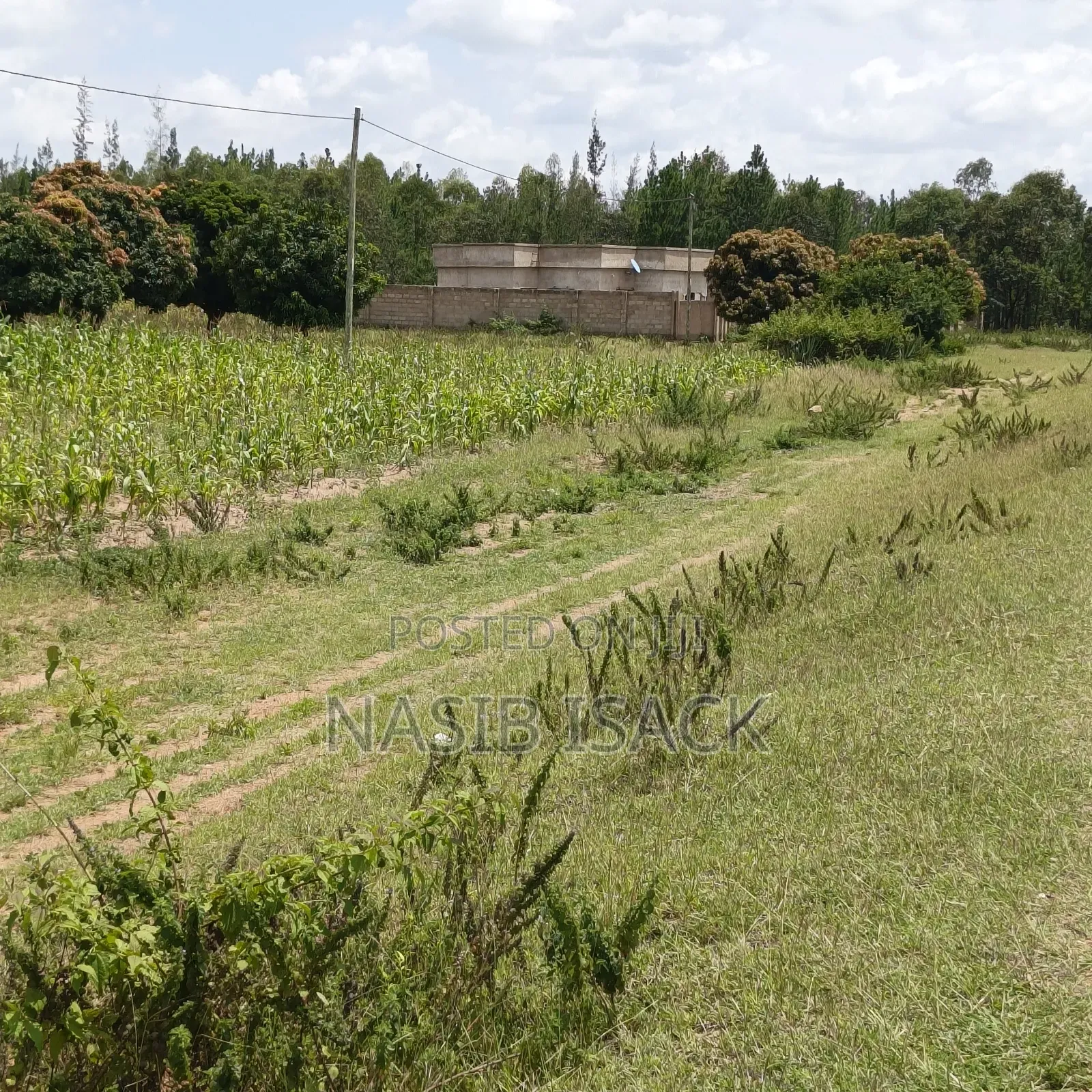 Plot for Sale Mwanza Usagara