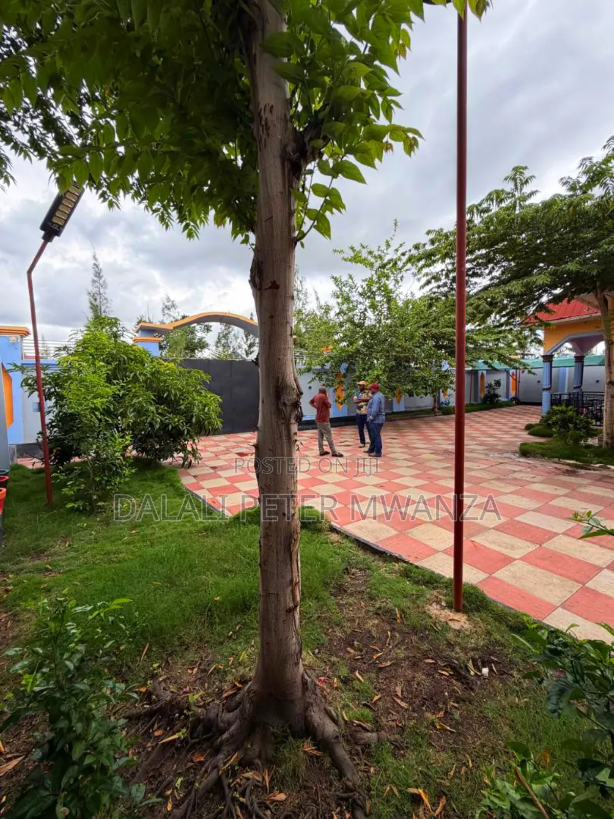 3bdrm House in Dalali Peter, Ilemela Ward for rent