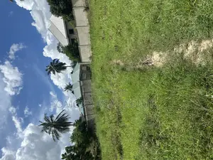 Heka Moja Mbezi Maghufuli