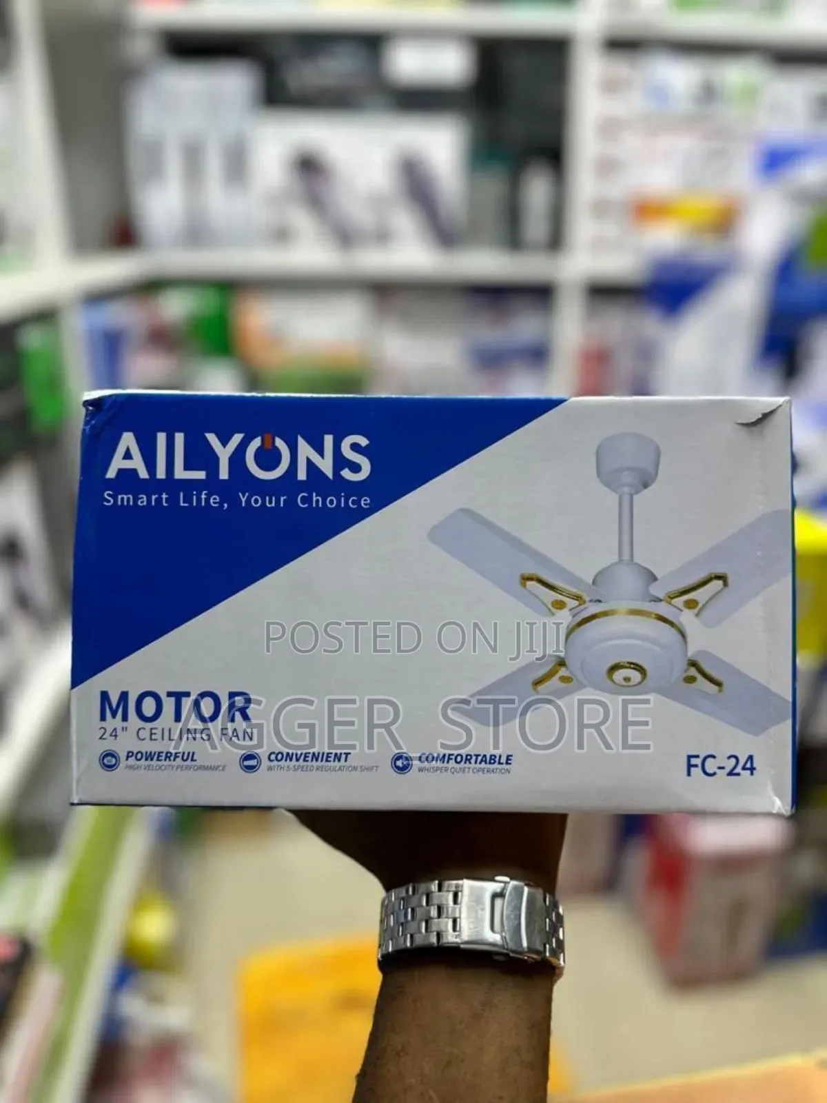 Ailyons Motor 24" Ceiling Fan