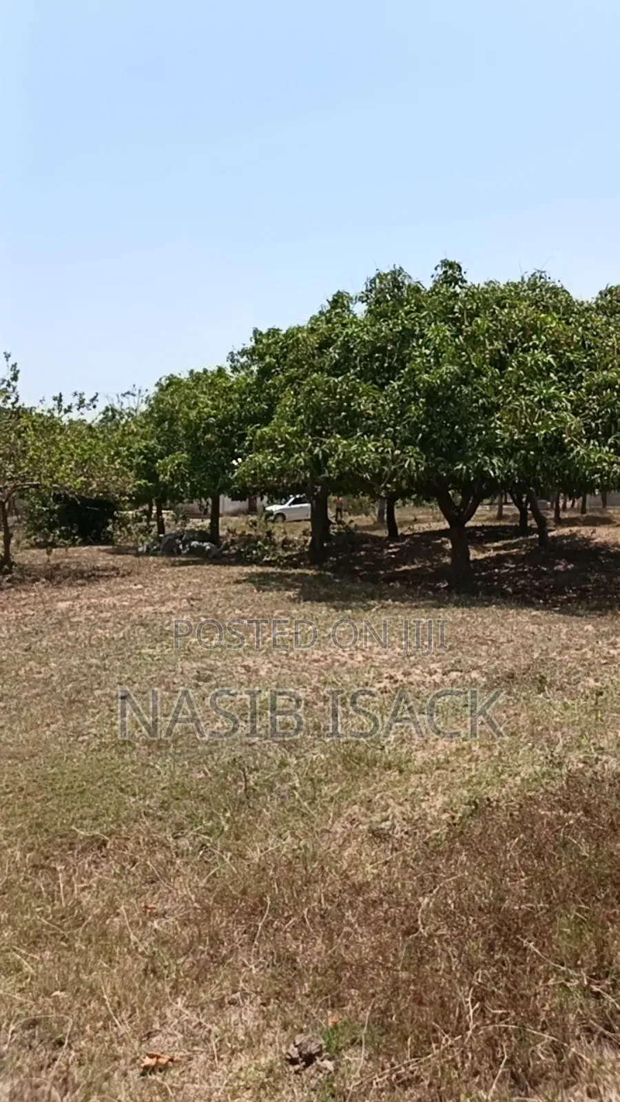 Plot for Sale Mwaza Square Meter