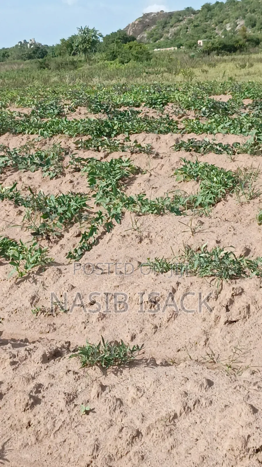 Plot for Sale