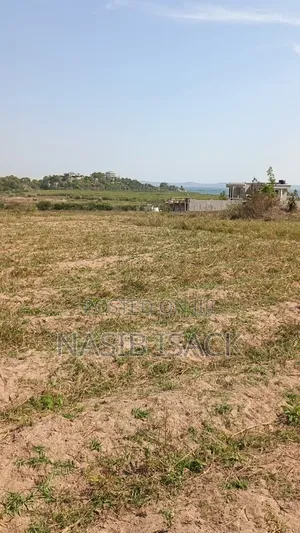 Plot for Sale Ruchelele 3995 Squre Meters