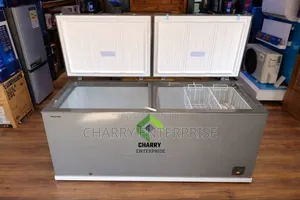 Hisense Freezer for Home or Business Fc729dd Fast Freezing 600l