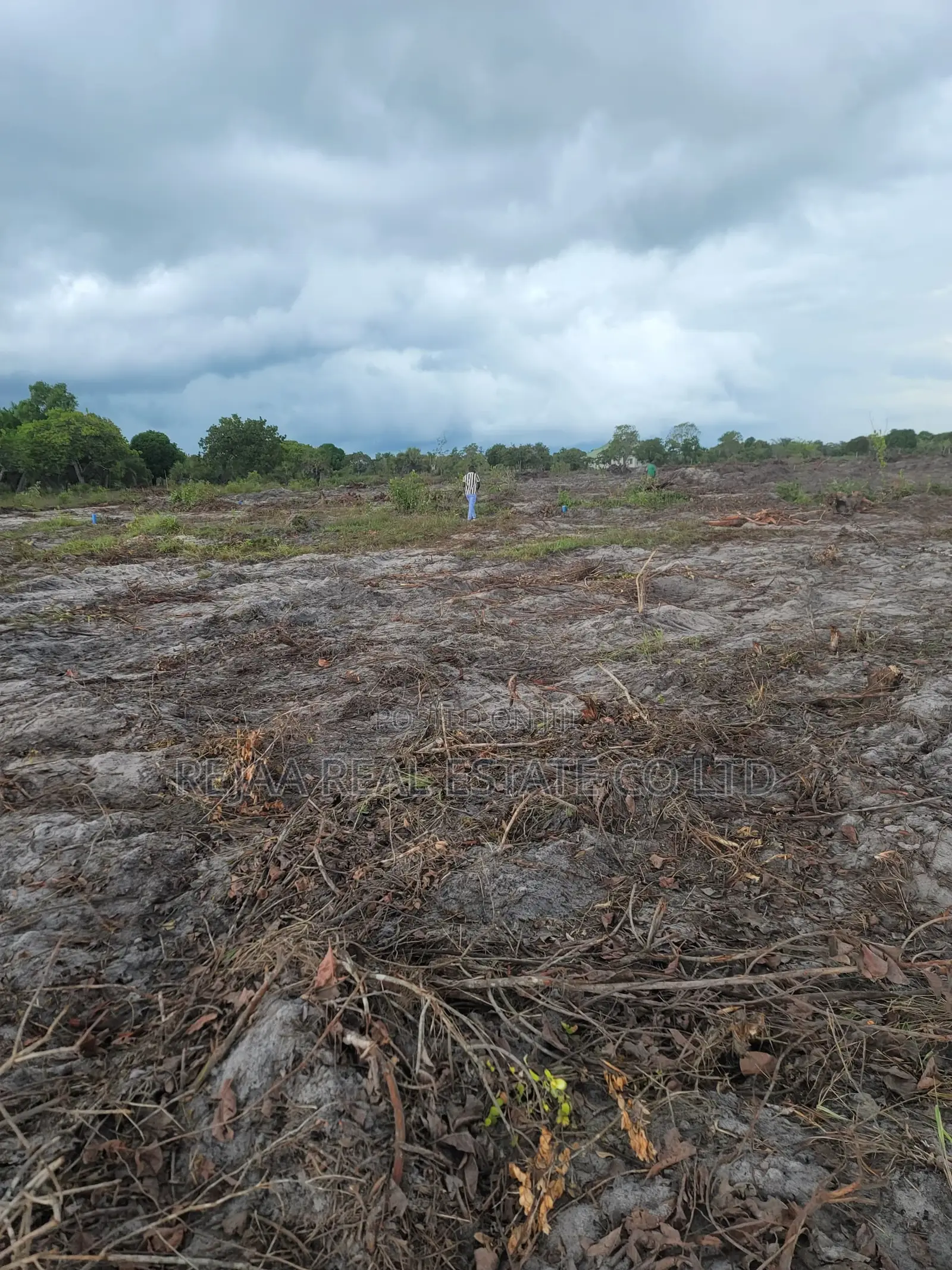 Land for Sale- Kigamboni Mwasonga