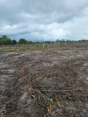 Land for Sale- Kigamboni Mwasonga