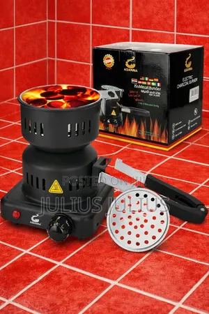 Electric Charcoal