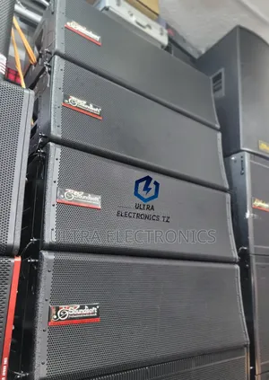 Professional Powerful Soundsoft Line Array Powered Speakers 800w 12"×2