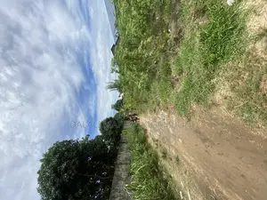 Plot for Sale Dege Kigamboni
