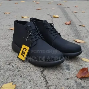 New Arrival–Cat Shoes