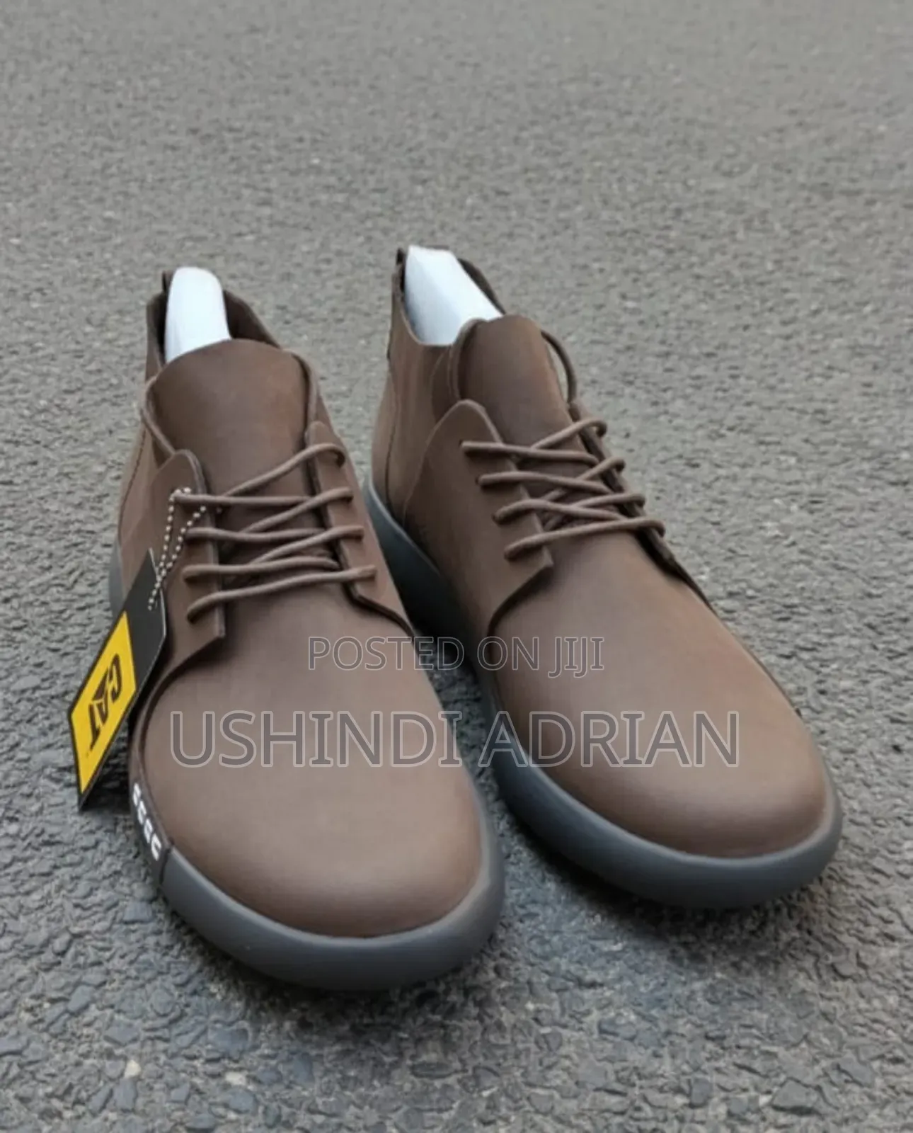 New Arrival–Cat Shoes