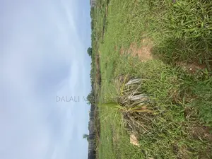 Beach Plot for Sale Mbutu Kigamboni