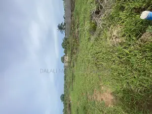 Beach Plot for Sale Mbutu Kigamboni