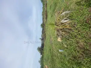 Beach Plot for Sale Mbutu Kigamboni