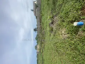 Beach Plot for Sale Mbutu Kigamboni