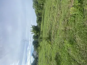 Plot for Sale Mbutu Kigamboni