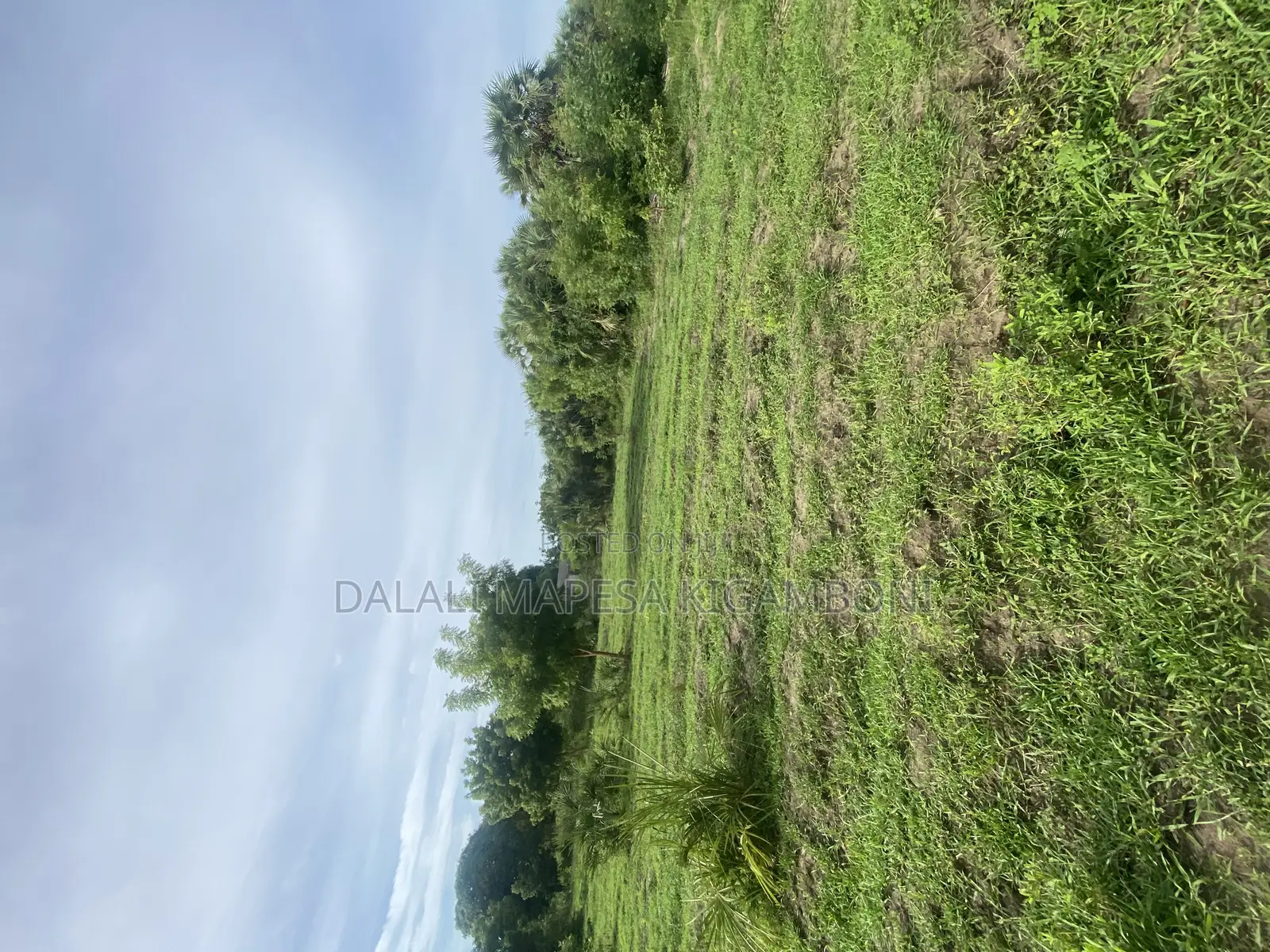 Plot for Sale Mbutu Kigamboni