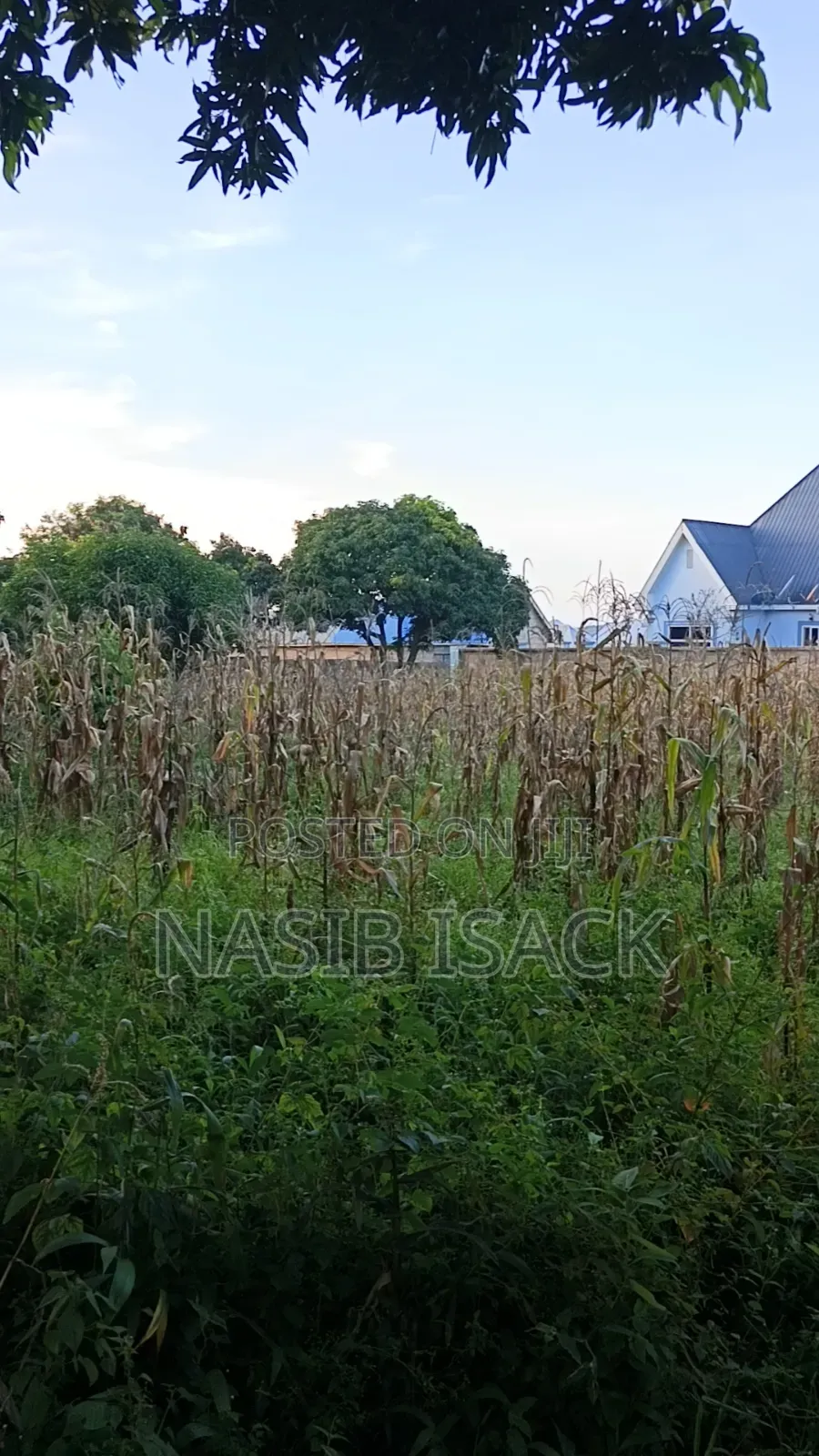 Plot for Sale