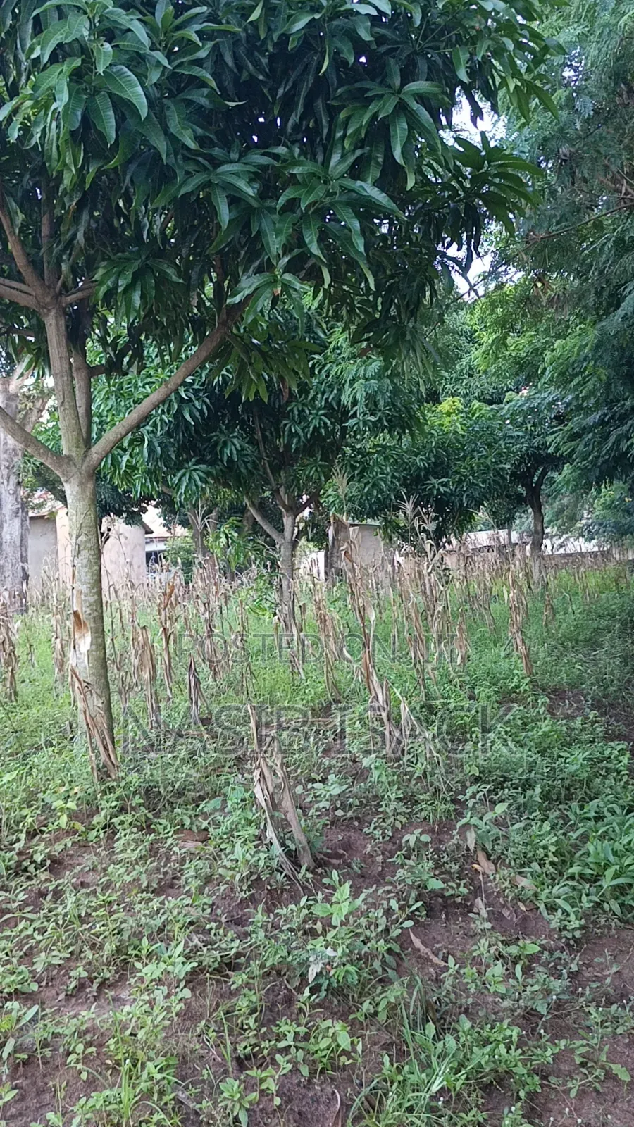 Plot for Sale