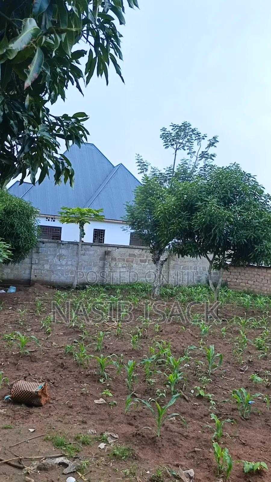 Plot for Sale Mwanza Nyamhogoro