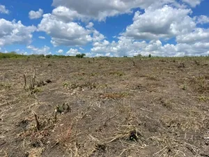 Shamba La Ekari 40 Linauzwa Kiwangwa Bagamoyo